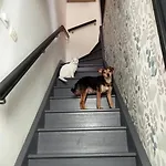 Privatunterkunft 1 *