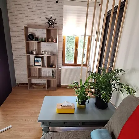 Homestay 1 *